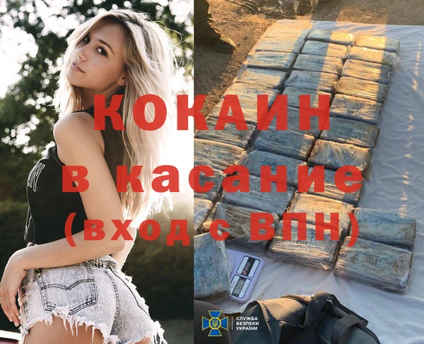 spice Алзамай