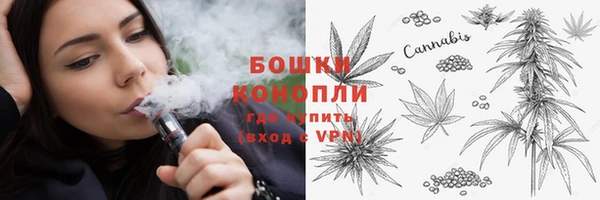 PSILOCYBIN Покров